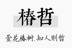 椿哲名字的寓意及含义