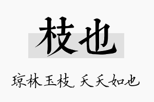 枝也名字的寓意及含义