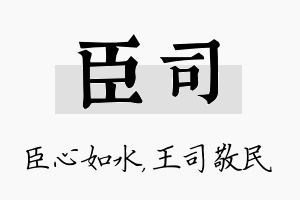 臣司名字的寓意及含义