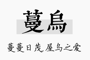 蔓乌名字的寓意及含义