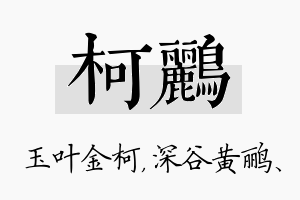 柯鹂名字的寓意及含义