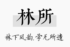 林所名字的寓意及含义