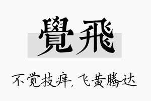 觉飞名字的寓意及含义