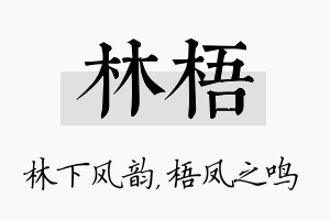 林梧名字的寓意及含义