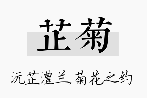 芷菊名字的寓意及含义