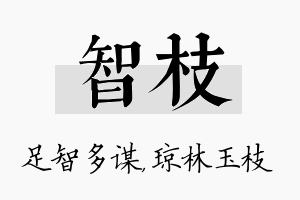 智枝名字的寓意及含义