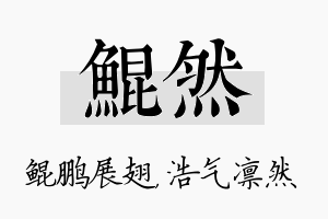 鲲然名字的寓意及含义