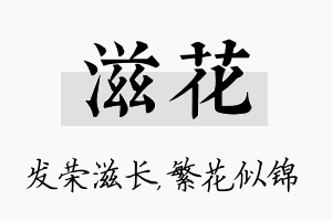 滋花名字的寓意及含义