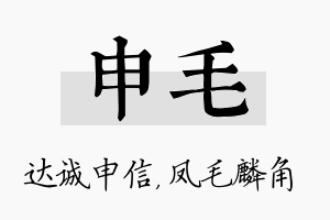 申毛名字的寓意及含义