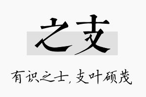 之支名字的寓意及含义