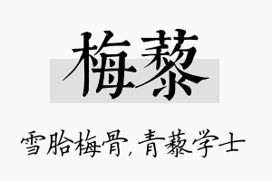 梅藜名字的寓意及含义