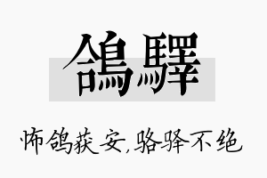 鸽驿名字的寓意及含义