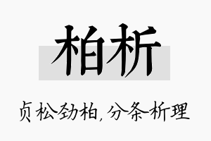 柏析名字的寓意及含义