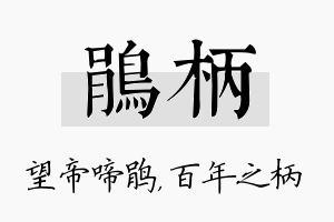 鹃柄名字的寓意及含义