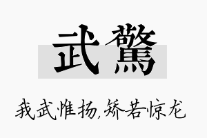 武惊名字的寓意及含义