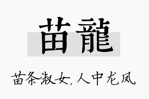 苗龙名字的寓意及含义