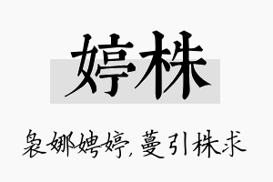 婷株名字的寓意及含义