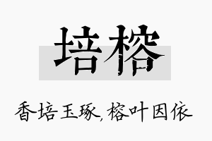 培榕名字的寓意及含义