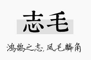 志毛名字的寓意及含义