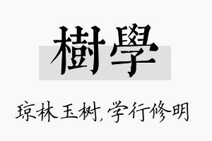 树学名字的寓意及含义