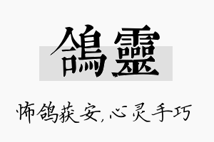 鸽灵名字的寓意及含义