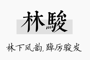 林骏名字的寓意及含义