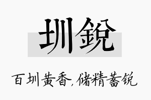 圳锐名字的寓意及含义