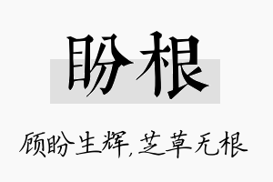 盼根名字的寓意及含义