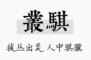 丛骐名字的寓意及含义