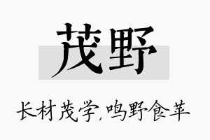 茂野名字的寓意及含义