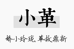 小革名字的寓意及含义