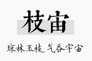 枝宙名字的寓意及含义