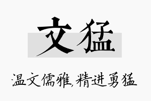 文猛名字的寓意及含义