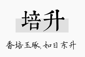 培升名字的寓意及含义