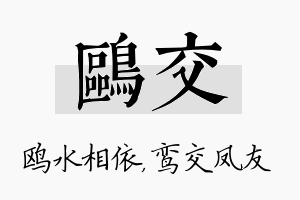 鸥交名字的寓意及含义