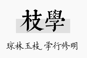 枝学名字的寓意及含义