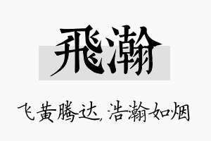 飞瀚名字的寓意及含义