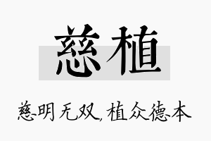 慈植名字的寓意及含义