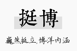 挺博名字的寓意及含义