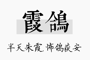 霞鸽名字的寓意及含义