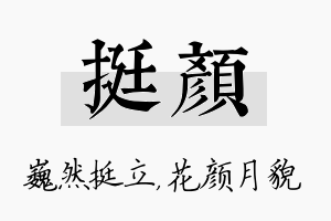 挺颜名字的寓意及含义