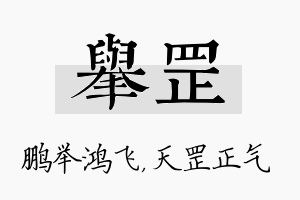 举罡名字的寓意及含义