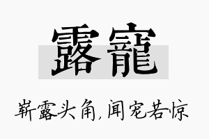 露宠名字的寓意及含义