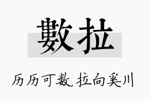 数拉名字的寓意及含义