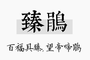 臻鹃名字的寓意及含义