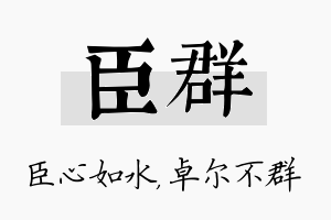 臣群名字的寓意及含义