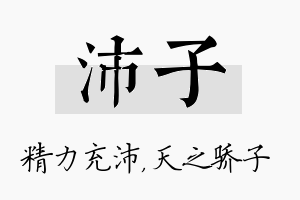 沛子名字的寓意及含义