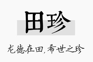 田珍名字的寓意及含义