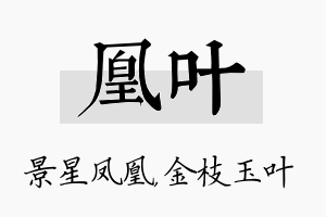 凰叶名字的寓意及含义