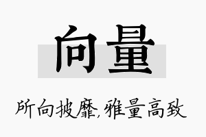 向量名字的寓意及含义